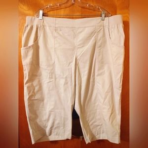 NWT CJ Banks pull on Capri's 24W